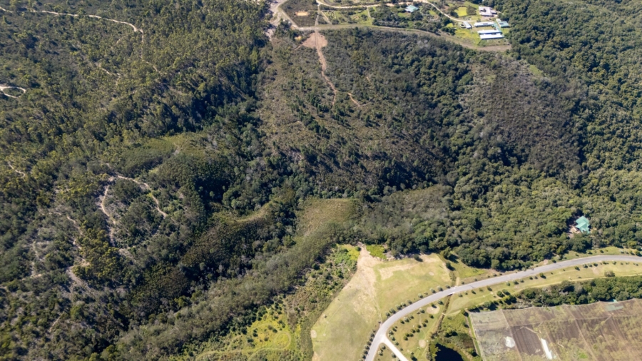 Commercial Property for Sale in Plettenberg Bay Rural Western Cape